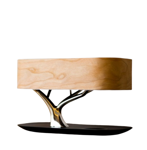 Sculptural Table Lam